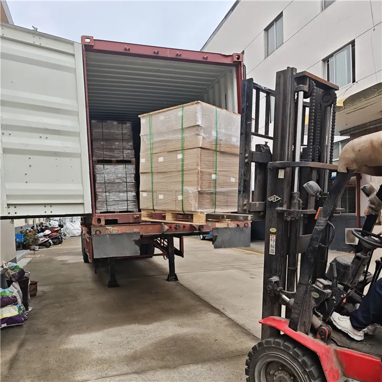 ჩვენ ეგვიპტეში გავაგზავნეთ 30,000 ნაკრები